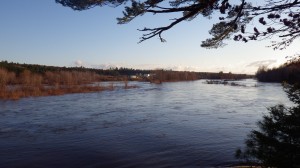 Looking up river from Harris Ledge Camp