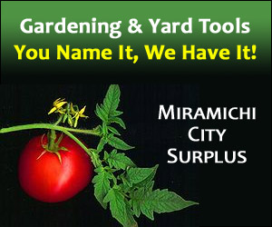 Miramichi City Surplus
