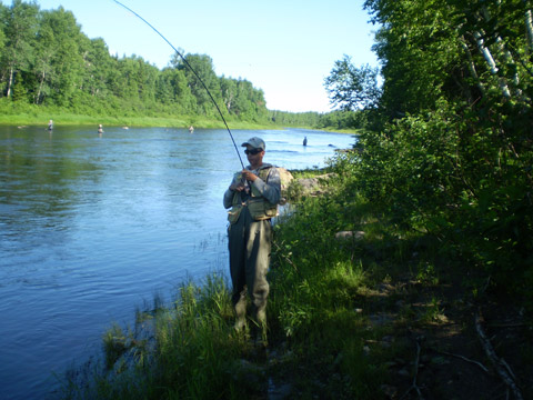 Stephen Miller hooks a 12 pound salmon on the Northwest Miramichi Monday, July 2, 2012. 