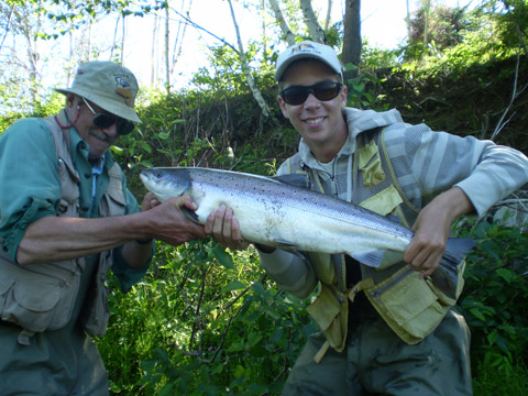 Stephen Miller lands a 12 pound salmon on the Northwest Miramichi Monday, July 2, 2012. 