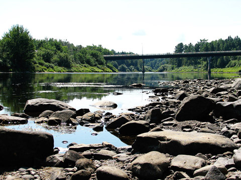 Main Southwest Miramichi at Blackville Park