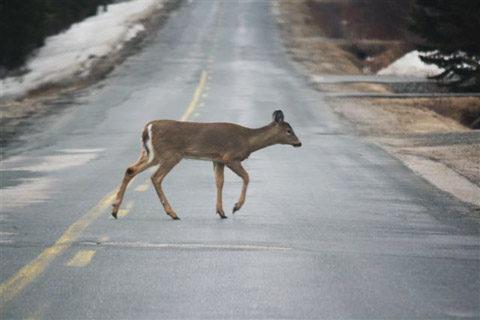 Photo taken by Dave Ingersoll on Tuesday, April 9