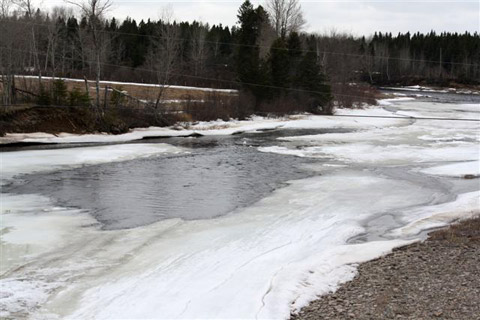 Photo taken by Dave Ingersoll on Tuesday, April 9 downstream from Wayerton Bridge on NW Miramichi