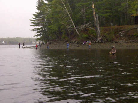 Bass anglers at Wilson's Point