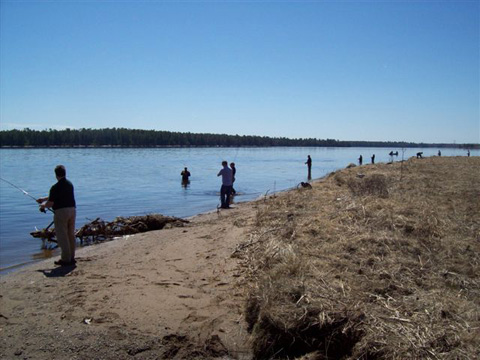 Striped bass anglers at Strawberry Marsh (photo by David Ingersoll)