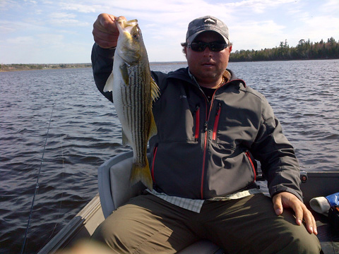 Bass caught by Derek Munn, one of the many landed on rabbit strips and marabou patterns.