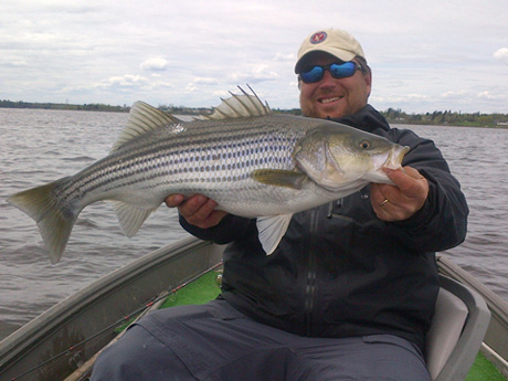 Here is Andrew Anthony, guide at the Ledges Inn, with a nice bass on Tuesday. This is one of 55 that he and Derek Munn caught in about 5 hours. Tight lines!