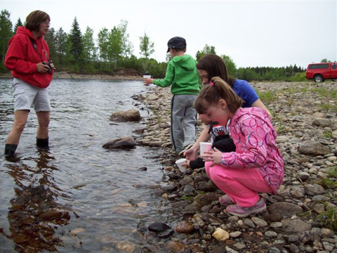 Napan youngsters releasing their Salmon Parr. Click the photo above to see more photos.