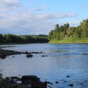 Miramichi Fishing Report for Thursday, August 11, 2016