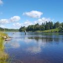 Miramichi Fishing Report for Thursday, September 15, 2016