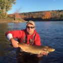 Miramichi Fishing Report for Thursday, October 13, 2016