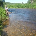 Miramichi Fishing Report for Thursday, June 15, 2017