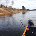 Miramichi Spring Fishing Report 2019