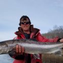 Miramichi Bright Salmon Watch and Spring Wrap Up for the Miramichi