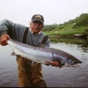 Late June Salmon News