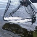 Dog Days Miramichi Salmon Report