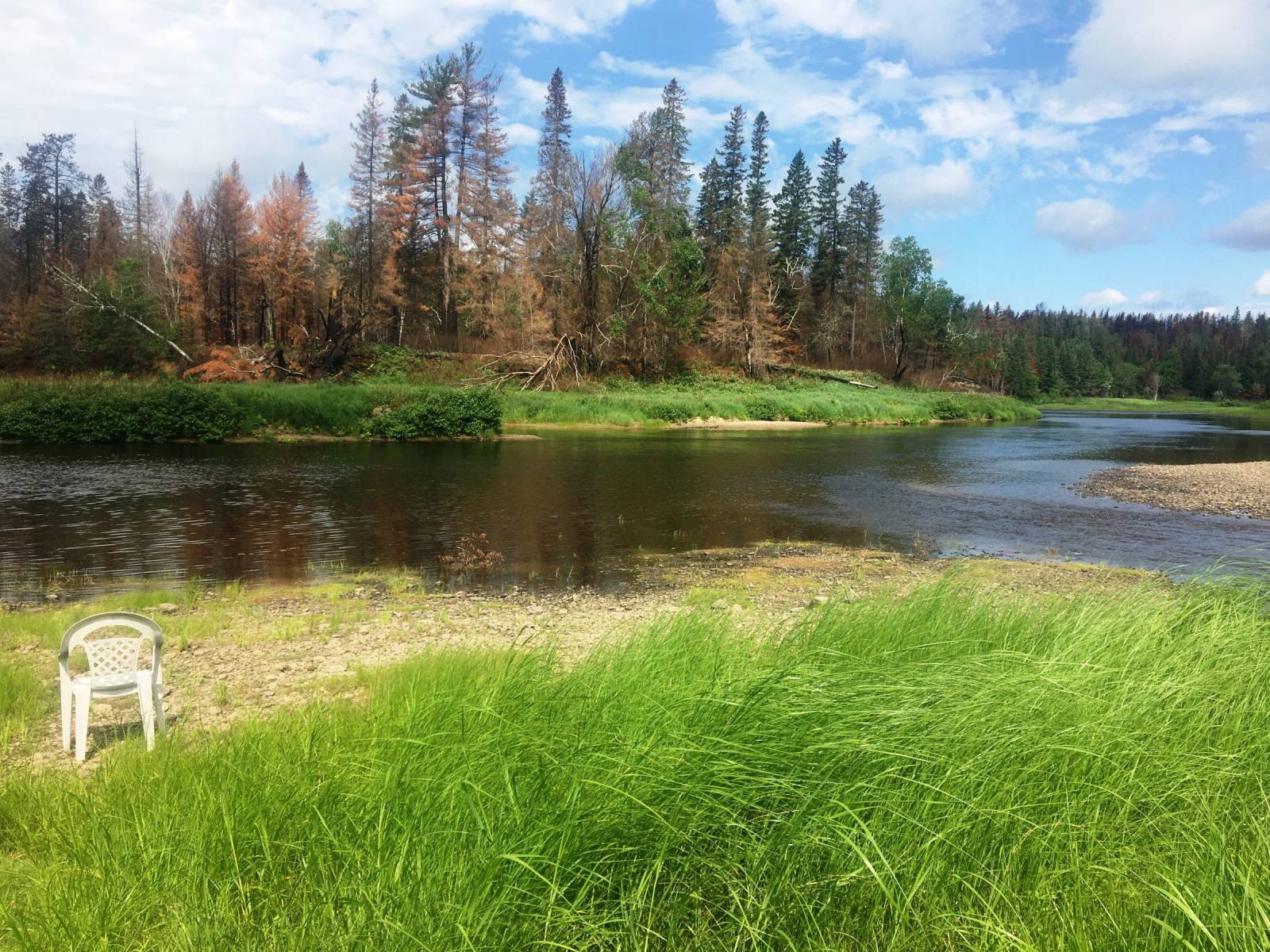 July Miramichi Salmon Report