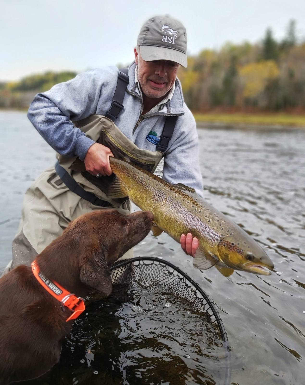 Miramichi Salmon Fishing October 7th 